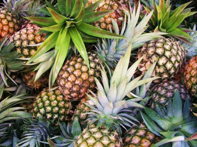 Abacaxi