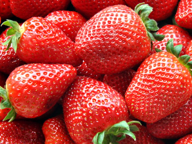 Morango