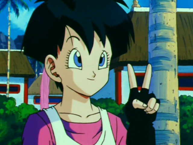 6. Videl