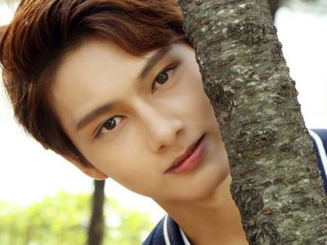 Wen Junhui