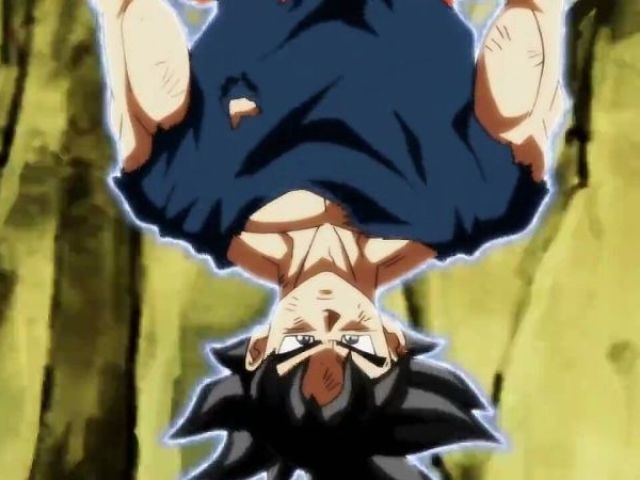 Migate no Goku (incompleto)