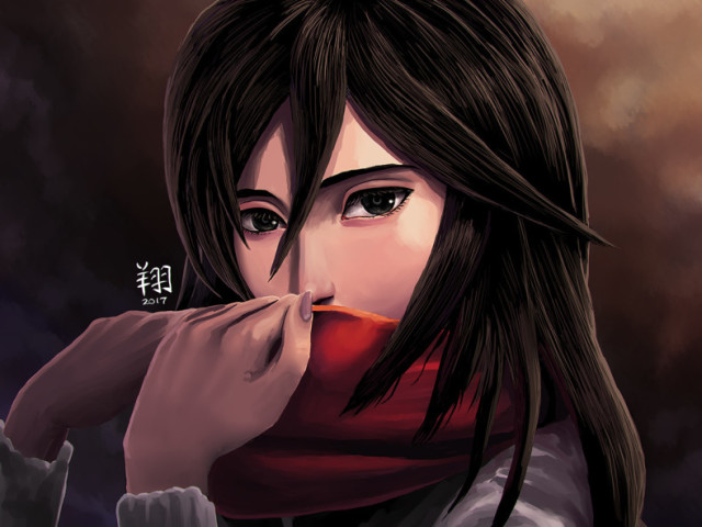 Mikasa