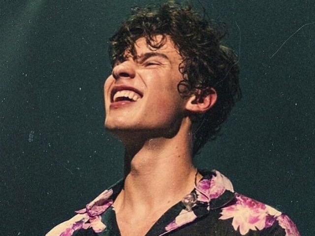 Você é realmente fã de Shawn Mendes?