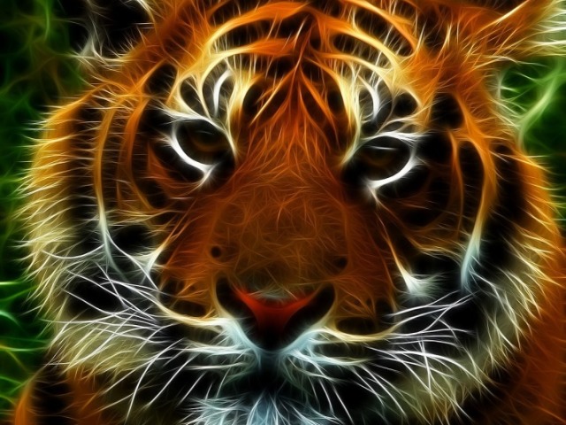 Tigre