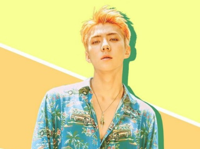 Você realmente conhece o Sehun do Exo?✨💞