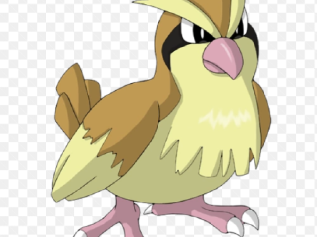 Pidgey