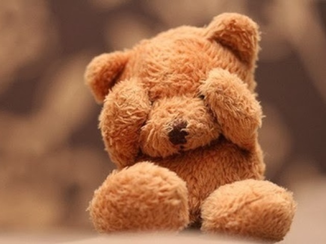 Cute Teddy Bear