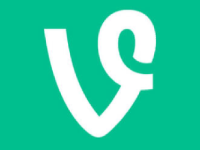 Vine