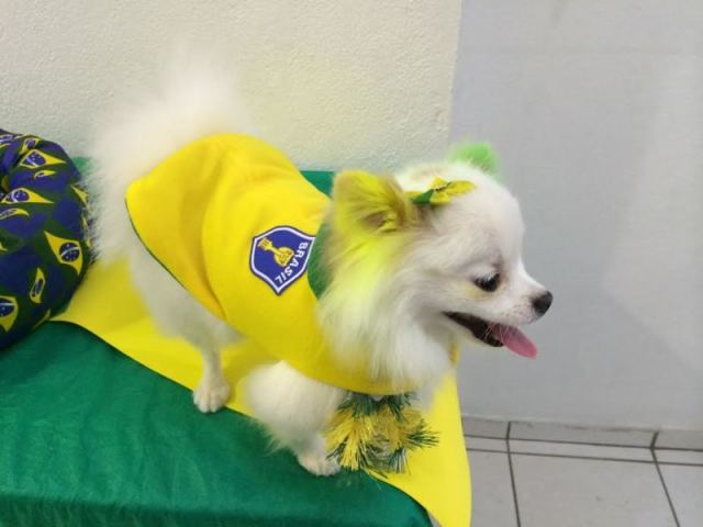 Roupa do brasil