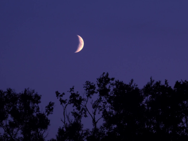 Lua Crescente