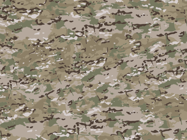 Multicam