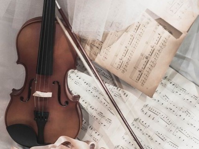 Violino