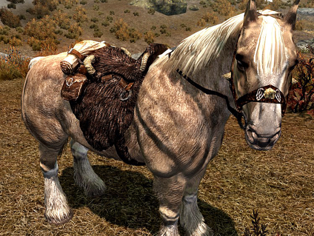 Cavalo