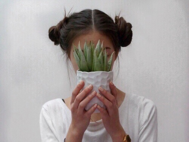 PLANTA!
