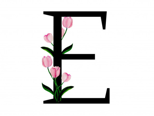 E
