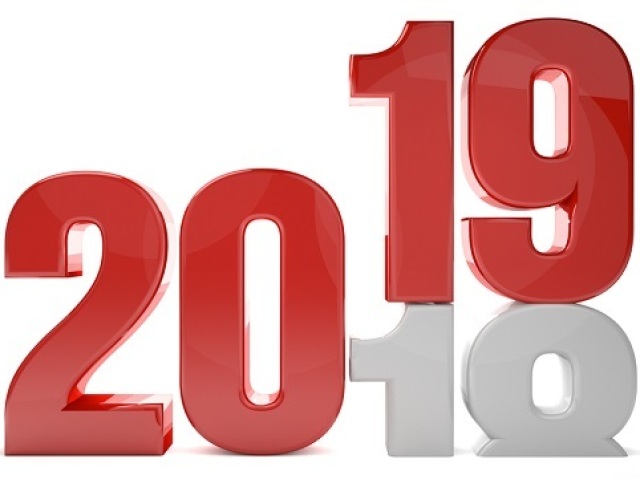 Como vai ser seu ano de 2019?