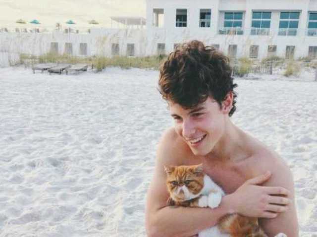 Você conhece o Shawn Mendes?