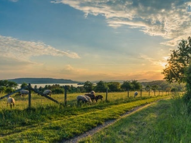 Nossas viagens para o campo