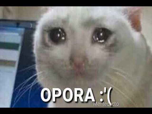 Meme do gato chorando!