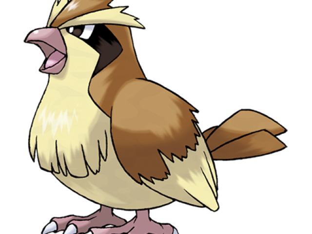 Pidgey!