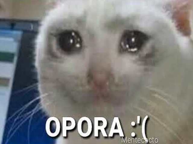 Você não é fã dela!?