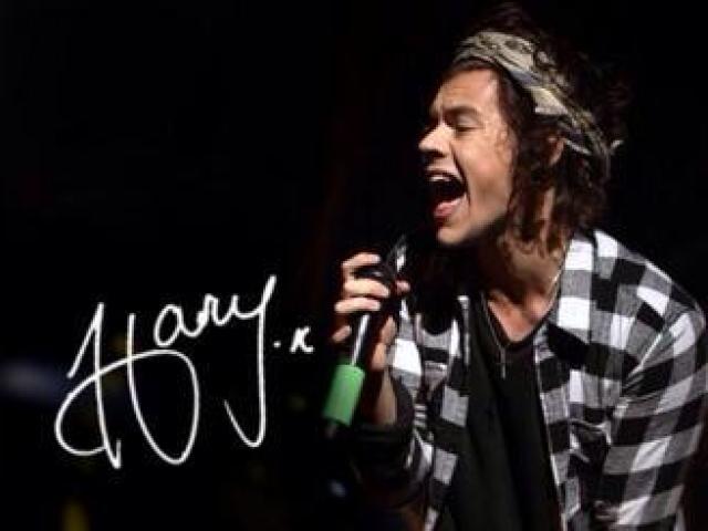 Você realmente conhece Harry Styles?