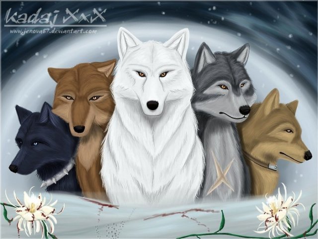 Wolf's Rain