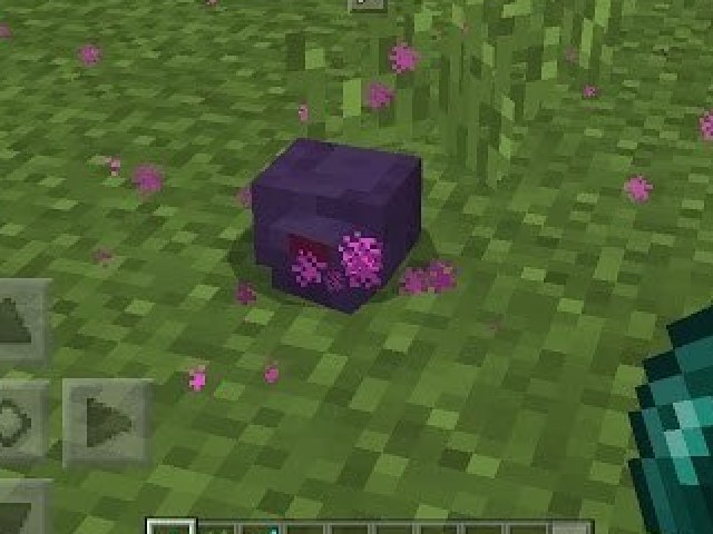 Endermite