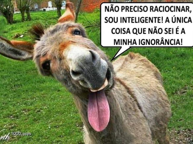 burro