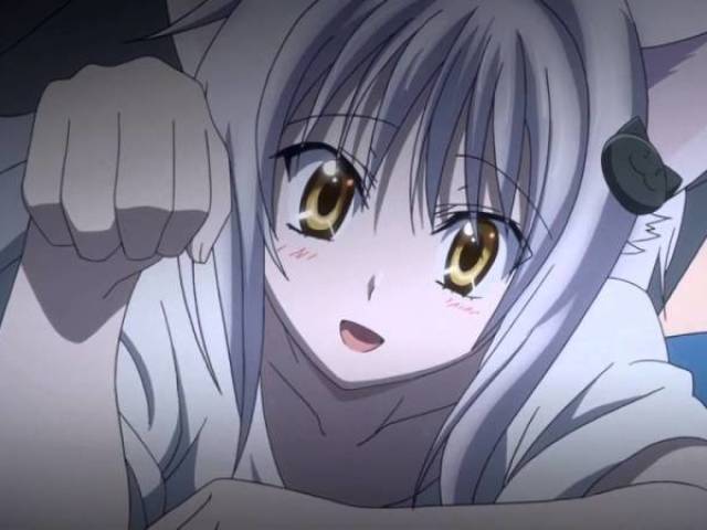 Koneko
(High School DxD).