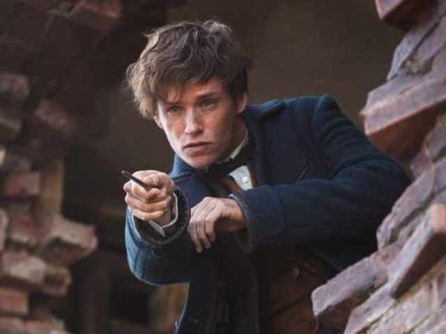 Newt Scamander