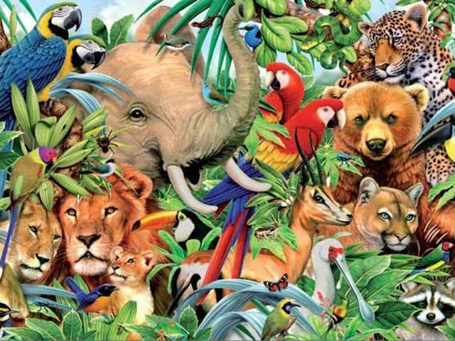 Você conhece bem os animais?