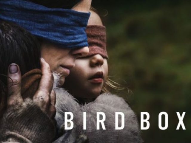 bird box