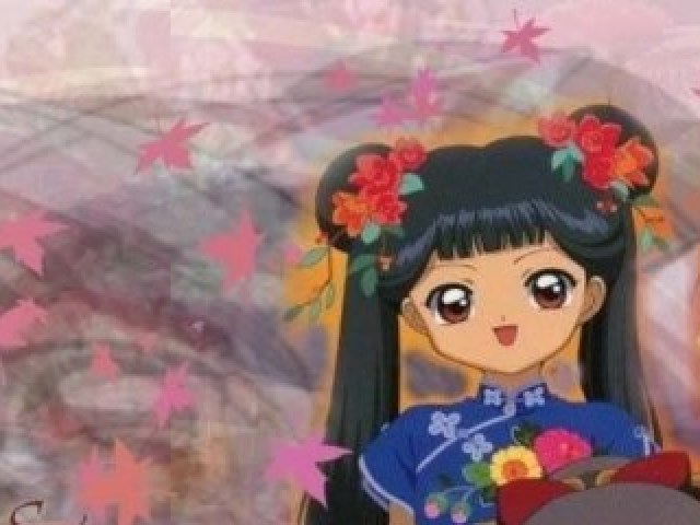 Meilin Li