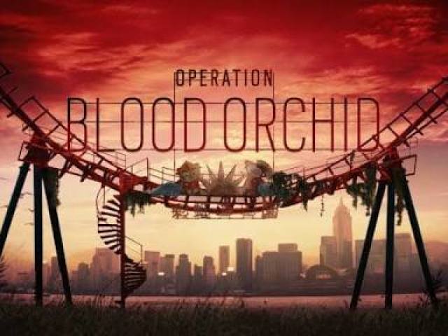 Blood Orchid