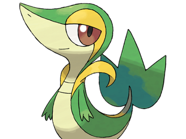 Snivy