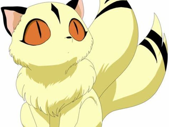 Kirara ~o~