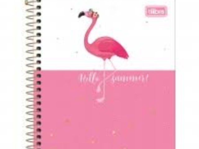 Flamingo fofo