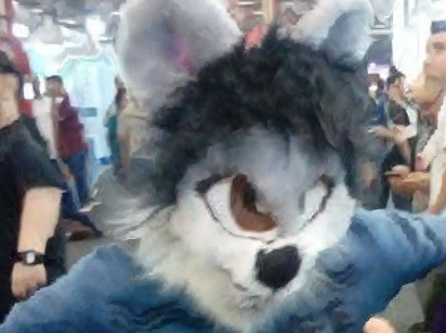 Furry Assado