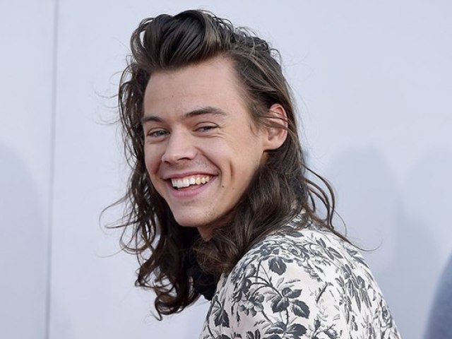 Você sabe sobre: Harry Styles??
