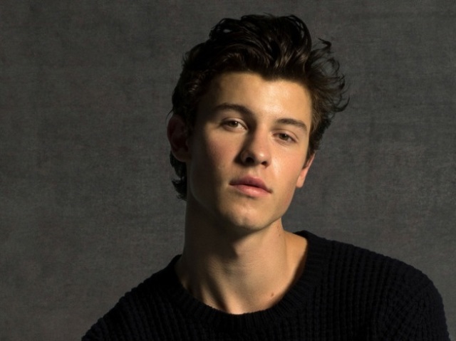 Você sabe sobre: Shawn Mendes