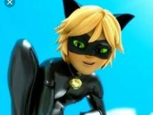 CAT Noir