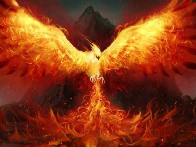 FENIX
