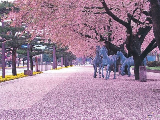 praça