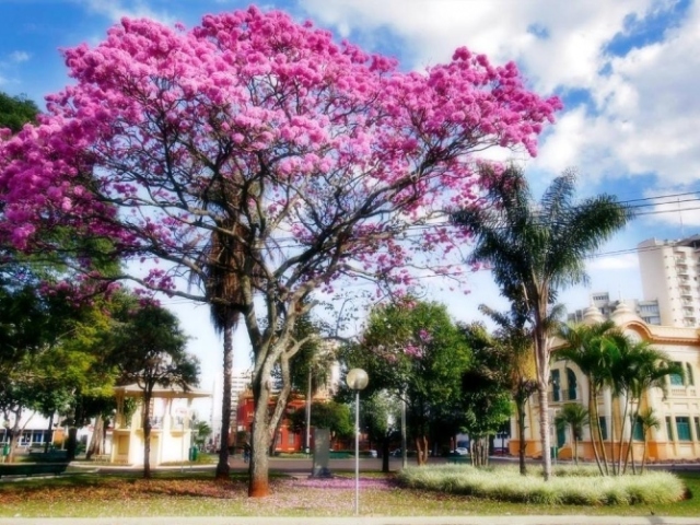 Praça