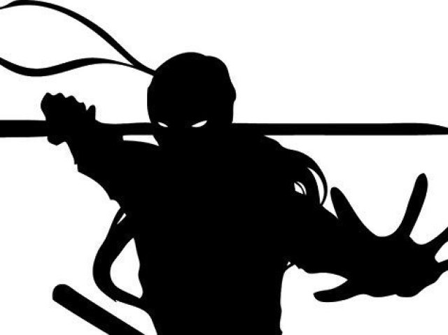 Ninja