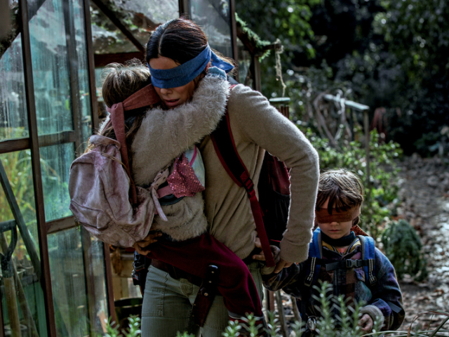 Bird Box