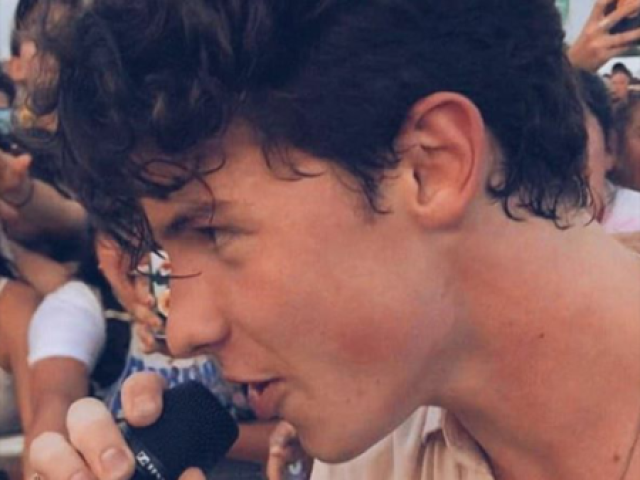Você realmente conhece o Shawn Mendes?