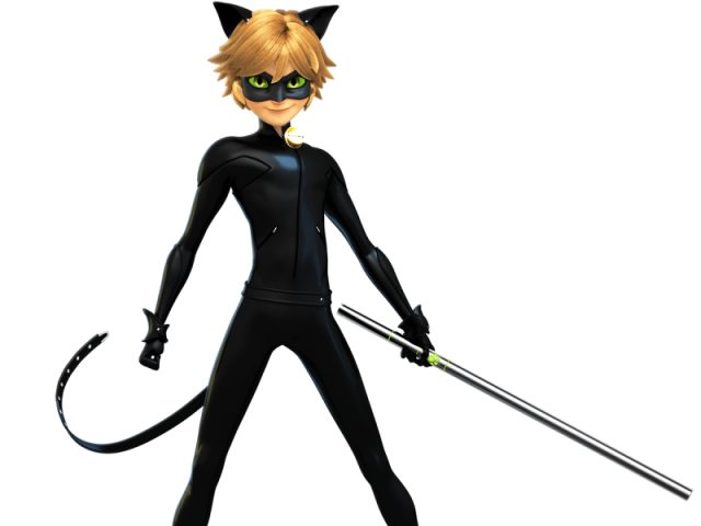 Cat noir