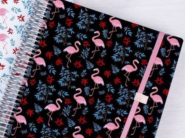 flamingos